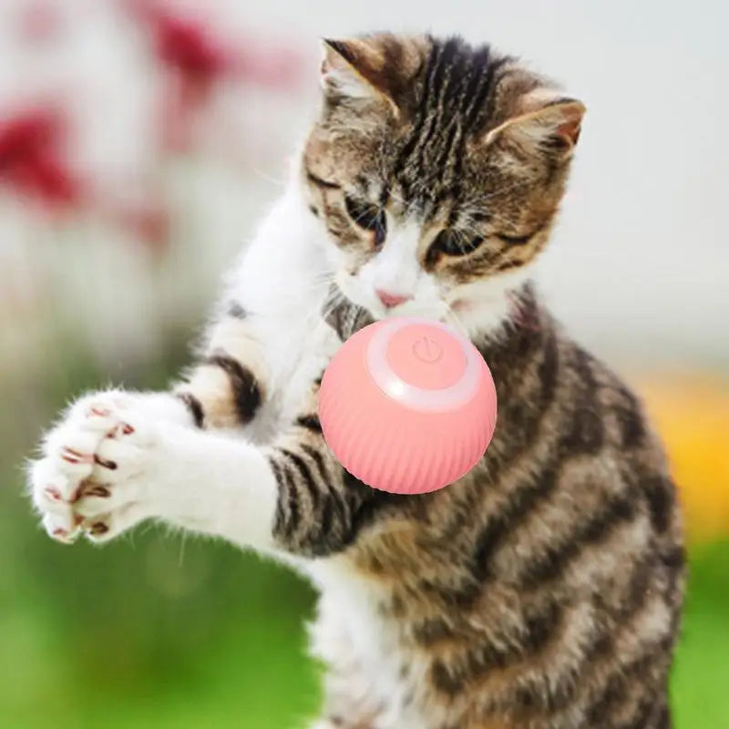 Interactive Smart Cat Ball Toy (free shipping)