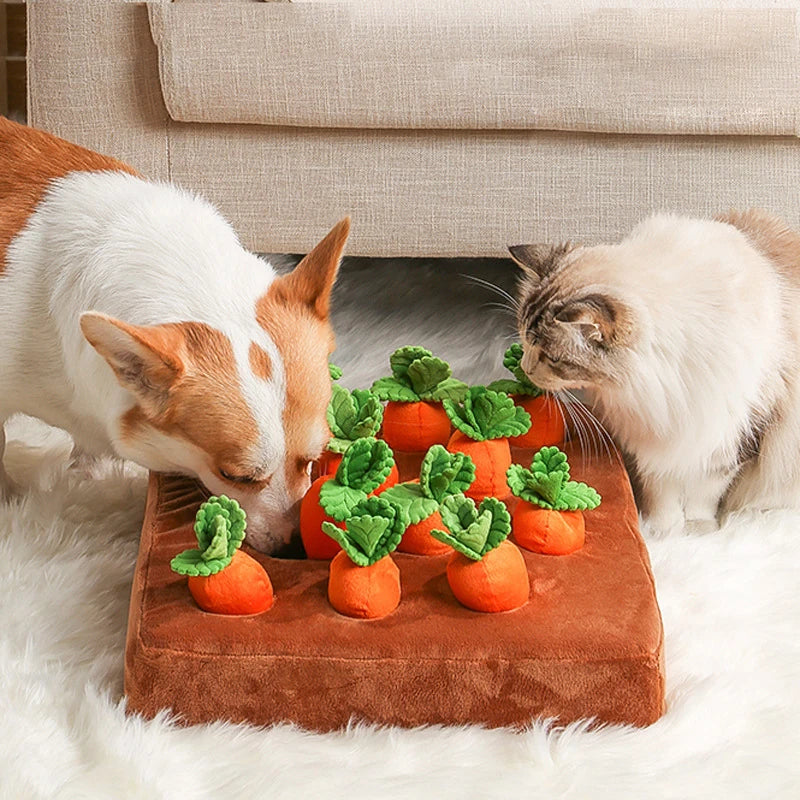 DualPet Carrot Plush Chew Toy (free shipping)