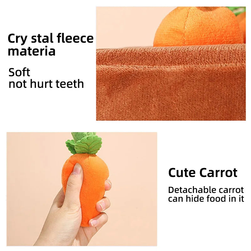 DualPet Carrot Plush Chew Toy (free shipping)