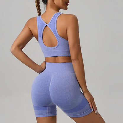 High Waist Yoga Bra Leggings Set (free shipping)