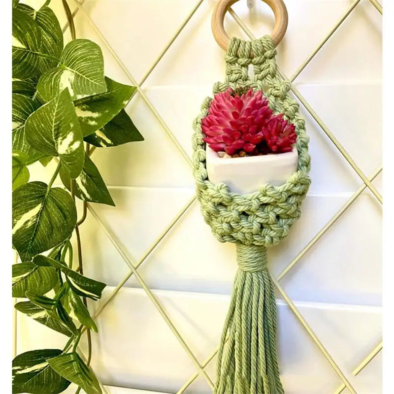 Colourful Macrame Wall Hanging Air Plant Holder